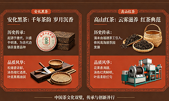 千年茶脉承古韵 云台双茗焕新章——安化黑茶与高山红茶的历史传承与品质风华